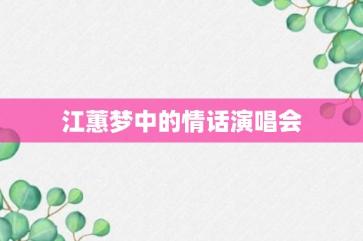 江蕙梦中的情话演唱会