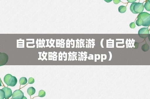 自己做攻略的旅游（自己做攻略的旅游app）