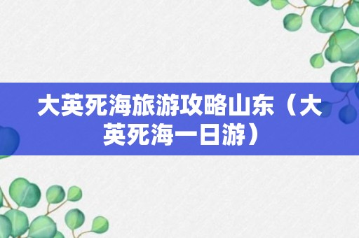 大英死海旅游攻略山东（大英死海一日游）