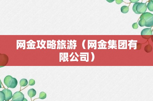 网金攻略旅游（网金集团有限公司）