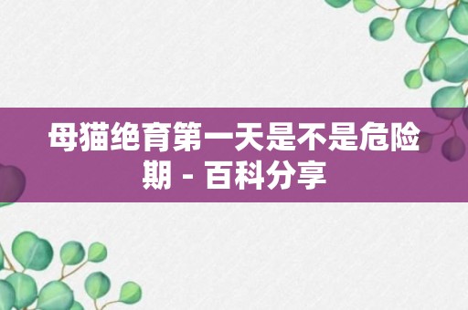 母猫绝育第一天是不是危险期 - 百科分享