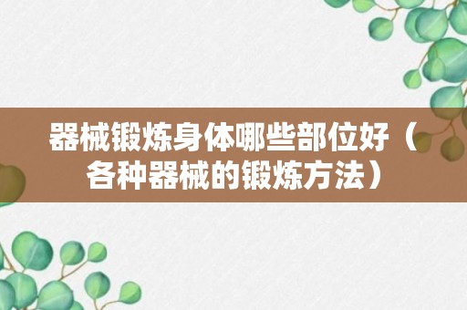 器械锻炼身体哪些部位好（各种器械的锻炼方法）