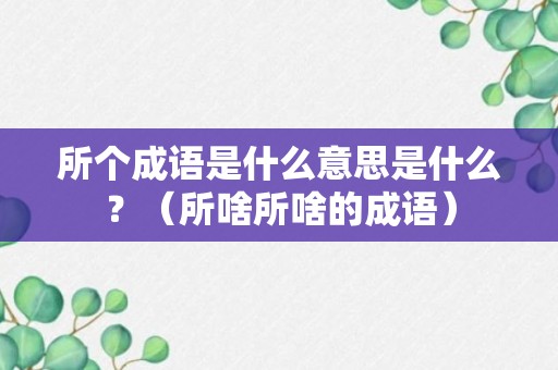 所个成语是什么意思是什么？（所啥所啥的成语）