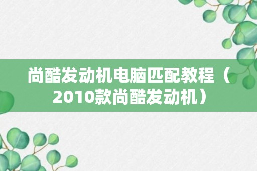 尚酷发动机电脑匹配教程（2010款尚酷发动机）