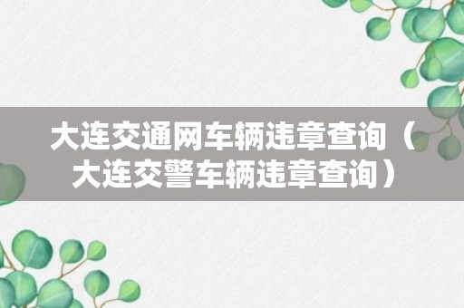 大连交通网车辆违章查询（大连交警车辆违章查询）