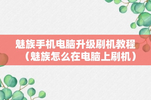 魅族手机电脑升级刷机教程（魅族怎么在电脑上刷机）