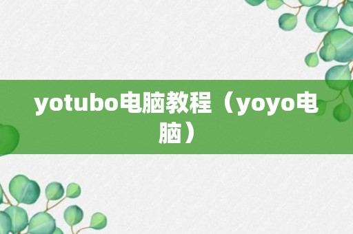 yotubo电脑教程（yoyo电脑）
