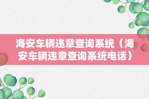 海安车辆违章查询系统（海安车辆违章查询系统电话）