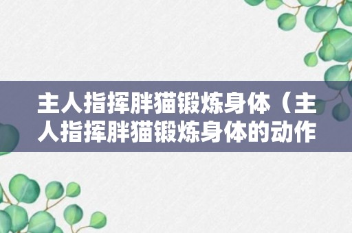 主人指挥胖猫锻炼身体（主人指挥胖猫锻炼身体的动作）