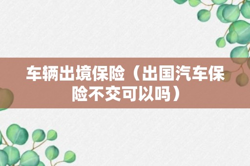 车辆出境保险（出国汽车保险不交可以吗）