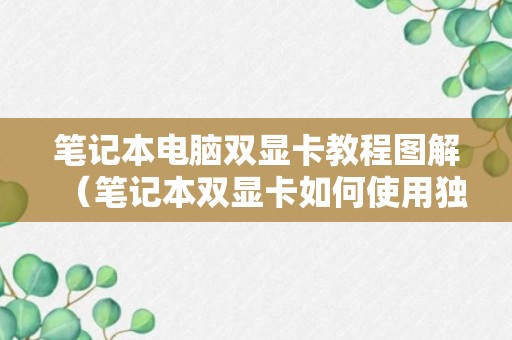 笔记本电脑双显卡教程图解（笔记本双显卡如何使用独立显卡）