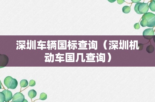 深圳车辆国标查询（深圳机动车国几查询）