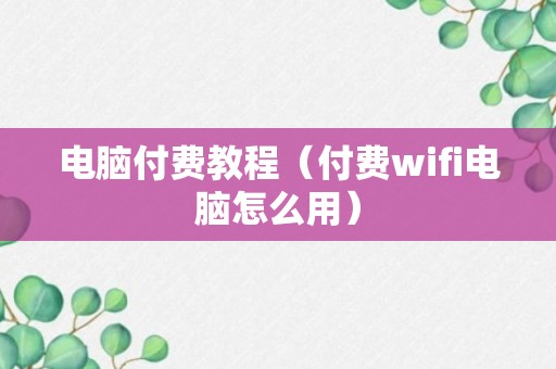 电脑付费教程（付费wifi电脑怎么用）