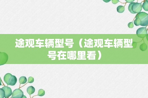 途观车辆型号（途观车辆型号在哪里看）