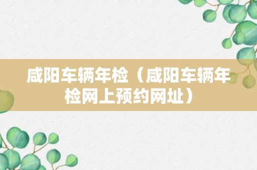 咸阳车辆年检（咸阳车辆年检网上预约网址）