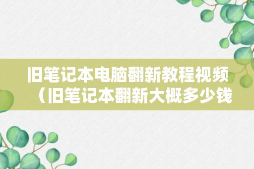 旧笔记本电脑翻新教程视频（旧笔记本翻新大概多少钱）