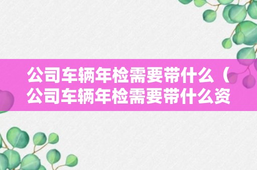 公司车辆年检需要带什么（公司车辆年检需要带什么资料）