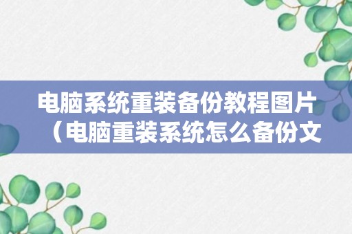 电脑系统重装备份教程图片（电脑重装系统怎么备份文件恢复）