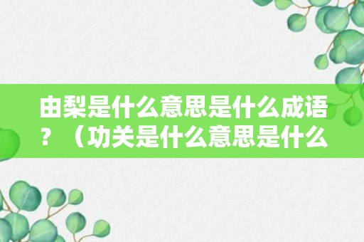 由梨是什么意思是什么成语？（功关是什么意思是什么成语）