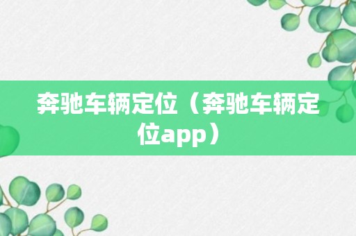 奔驰车辆定位（奔驰车辆定位app）