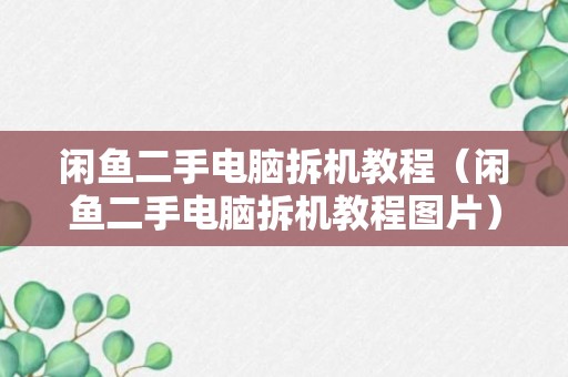 闲鱼二手电脑拆机教程（闲鱼二手电脑拆机教程图片）