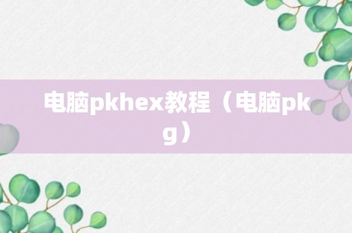 电脑pkhex教程（电脑pkg）