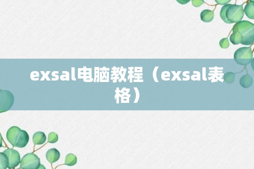 exsal电脑教程（exsal表格）