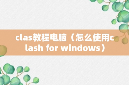 clas教程电脑（怎么使用clash for windows）