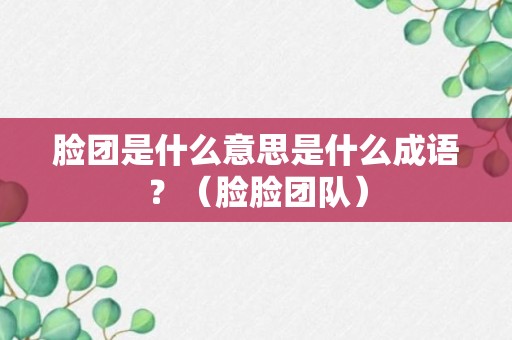 脸团是什么意思是什么成语？（脸脸团队）