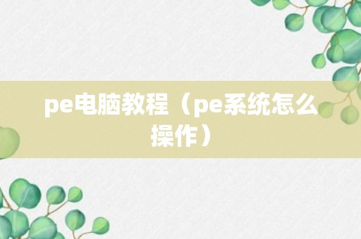 pe电脑教程（pe系统怎么操作）