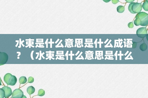 水束是什么意思是什么成语？（水束是什么意思是什么成语啊）