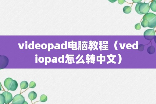 videopad电脑教程（vediopad怎么转中文）