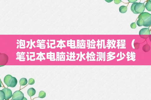 泡水笔记本电脑验机教程（笔记本电脑进水检测多少钱）