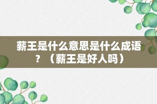 薪王是什么意思是什么成语？（薪王是好人吗）