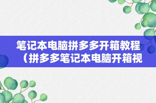 笔记本电脑拼多多开箱教程（拼多多笔记本电脑开箱视频）