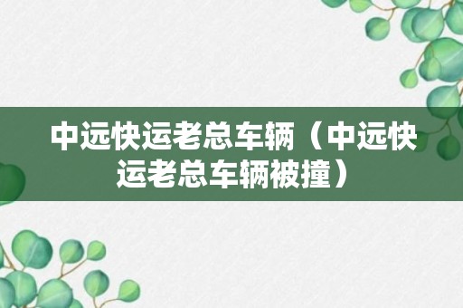 中远快运老总车辆（中远快运老总车辆被撞）