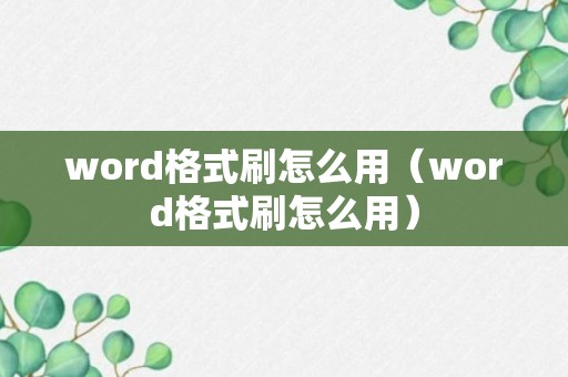 word格式刷怎么用（word格式刷怎么用）