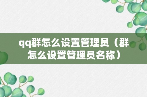 qq群怎么设置管理员（群怎么设置管理员名称）