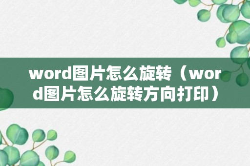 word图片怎么旋转（word图片怎么旋转方向打印）