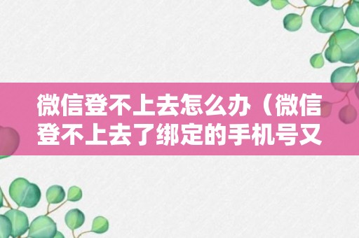 微信登不上去怎么办（微信登不上去了绑定的手机号又不用了）