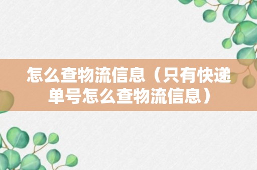 怎么查物流信息（只有快递单号怎么查物流信息）