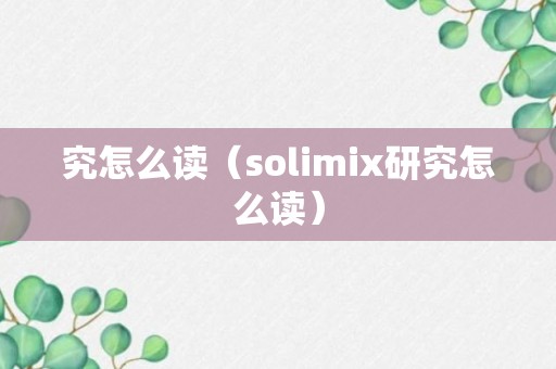 究怎么读（solimix研究怎么读）