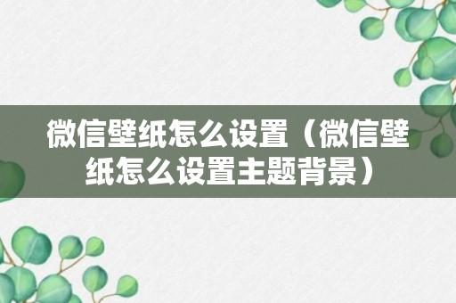 微信壁纸怎么设置（微信壁纸怎么设置主题背景）