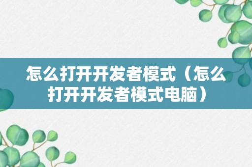 怎么打开开发者模式（怎么打开开发者模式电脑）