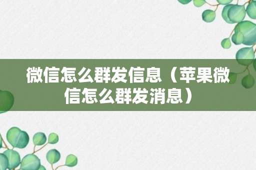 微信怎么群发信息（苹果微信怎么群发消息）