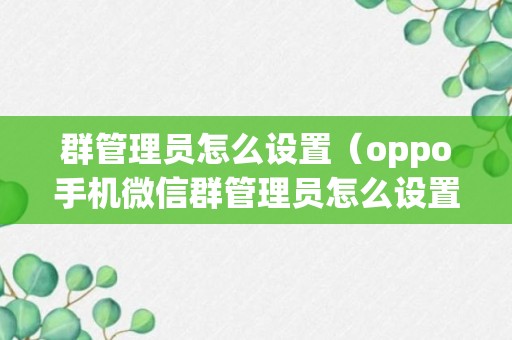 群管理员怎么设置（oppo手机微信群管理员怎么设置）