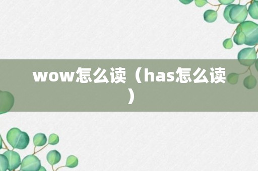 wow怎么读（has怎么读）