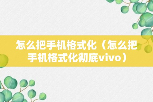 怎么把手机格式化（怎么把手机格式化彻底vivo）