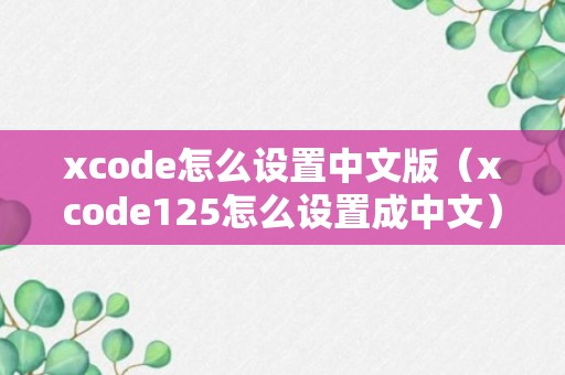 xcode怎么设置中文版（xcode125怎么设置成中文）