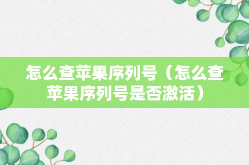 怎么查苹果序列号（怎么查苹果序列号是否激活）